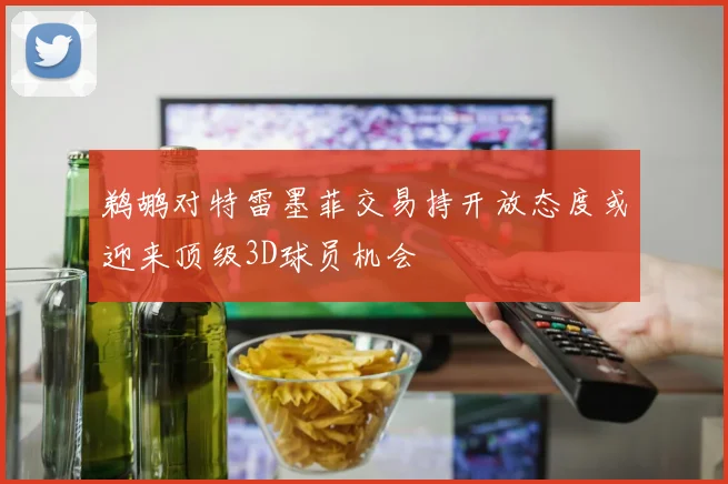 鹈鹕对特雷墨菲交易持开放态度或迎来顶级3D球员机会