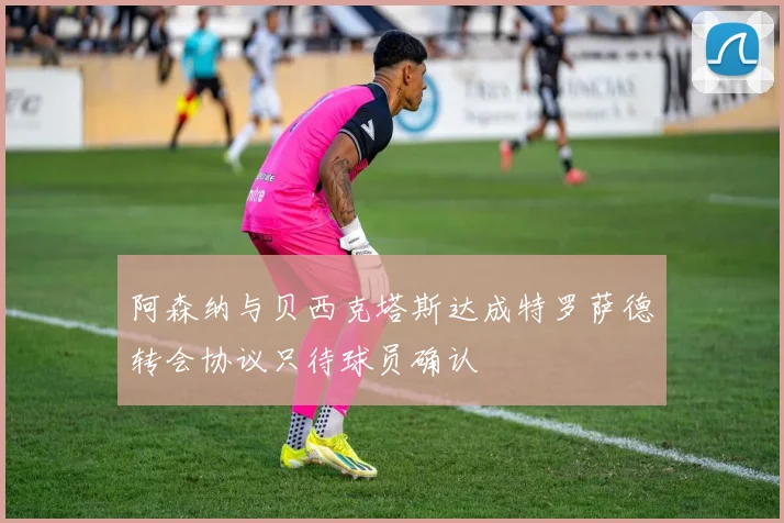 阿森纳与贝西克塔斯达成特罗萨德转会协议只待球员确认